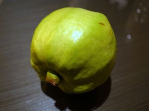 Guava_1854
