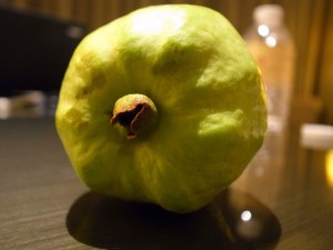 Guava_1855