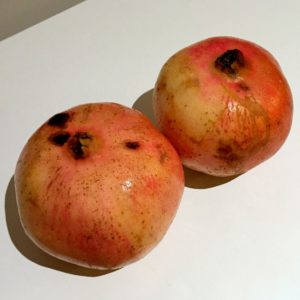 pomegranate_5725