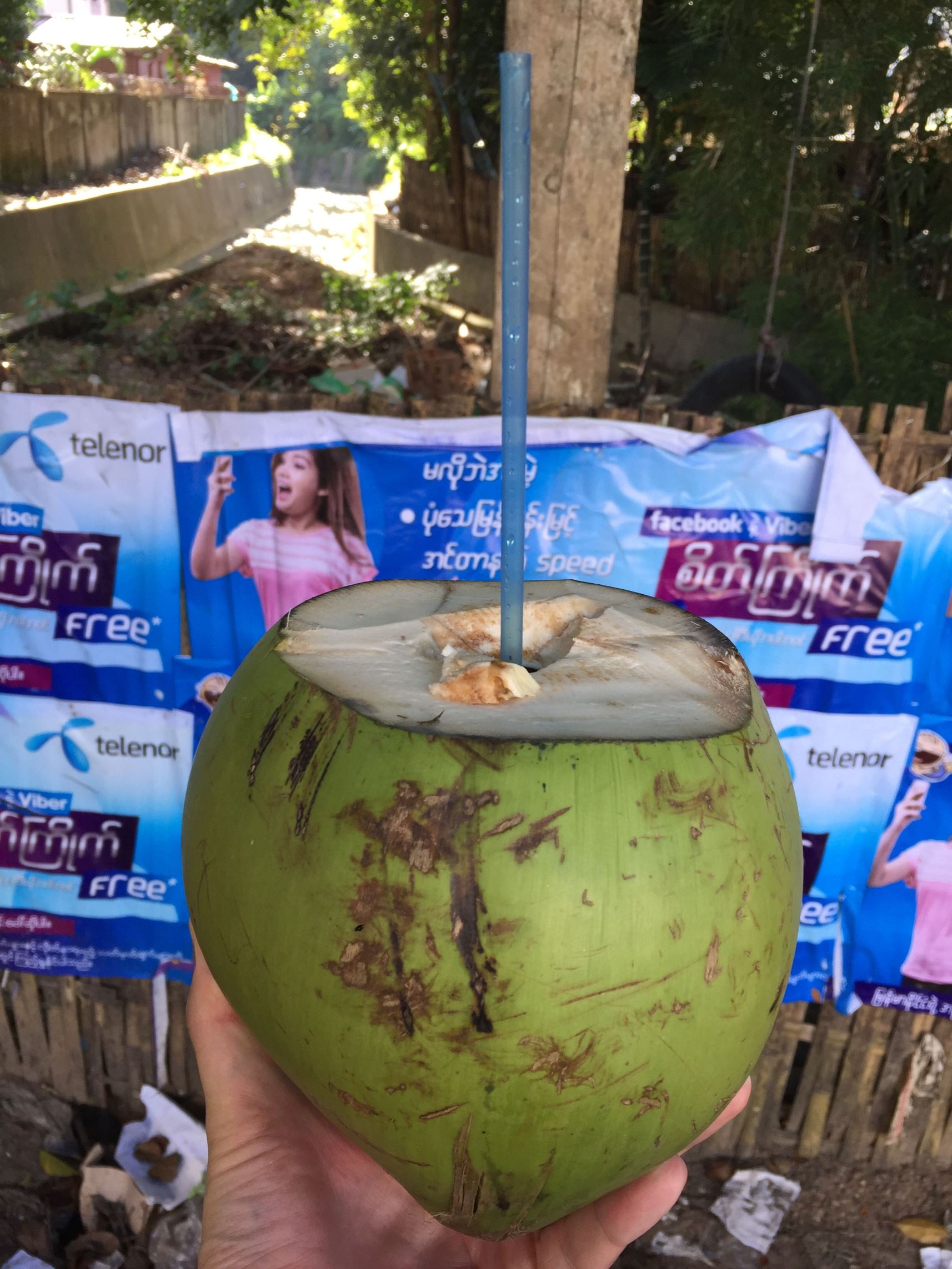 ヤンゴンで生ココナッツジュースが飲める